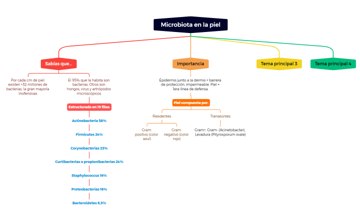 Microbiota en la piel.xmind