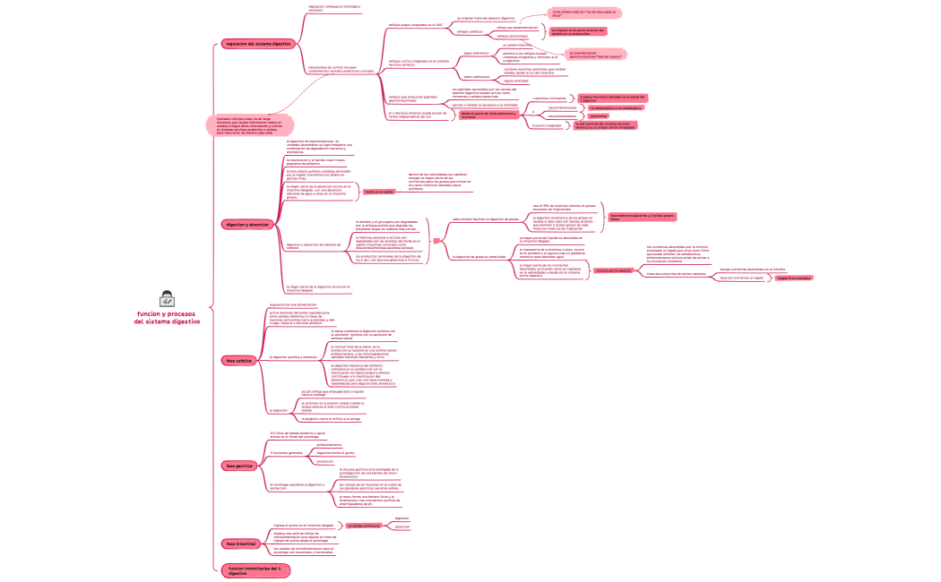 Cómo Tomar Notas de Manera Eficiente