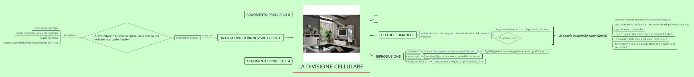 LA DIVISIONE CELLULARE 