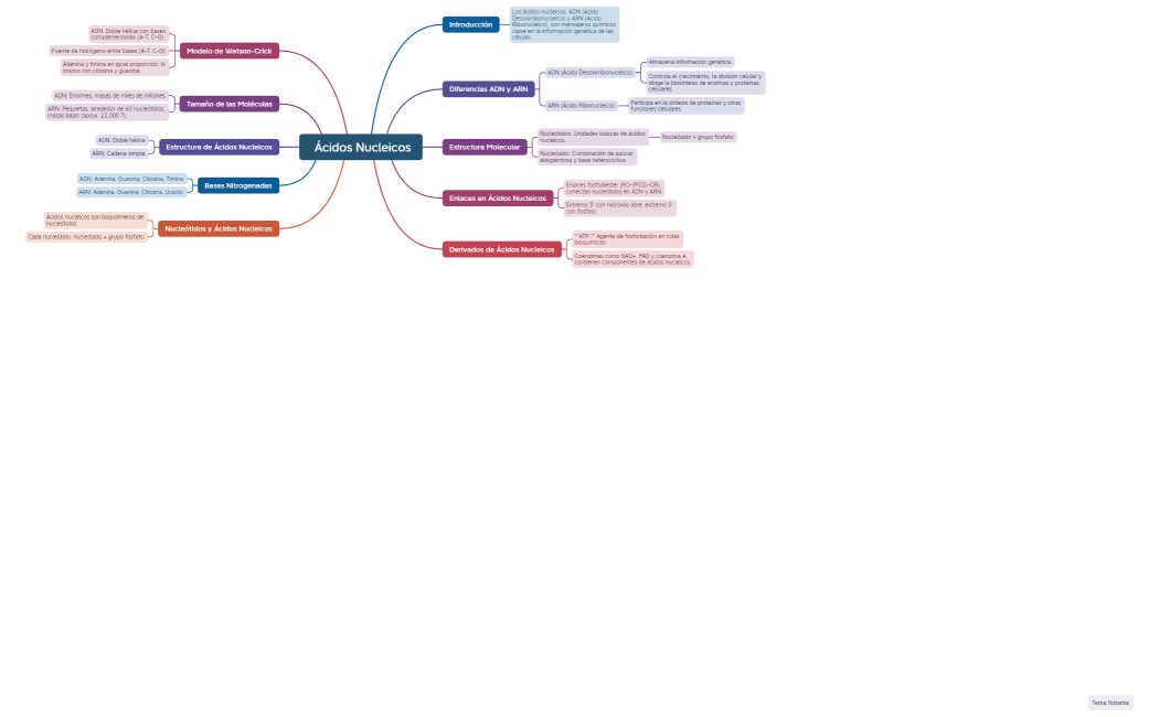 Mapa Mental Ácidos Nucleicos manu
