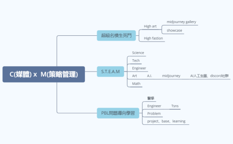 C(媒體) x  M(策略管理)