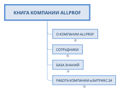 КНИГА КОМПАНИИ ALLPROF