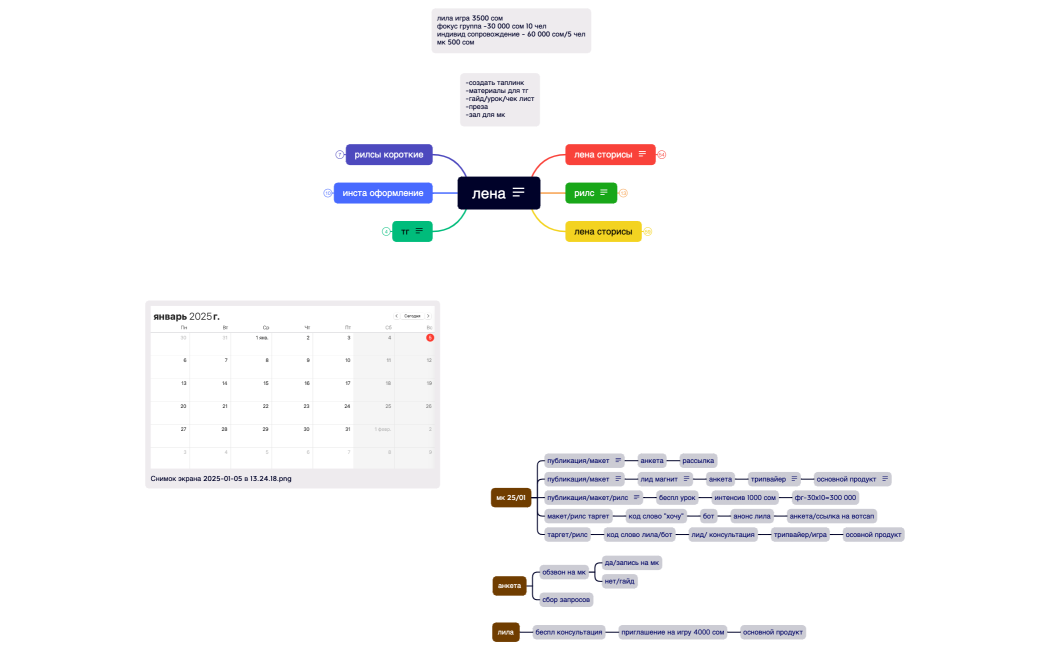 лена запуск 2501