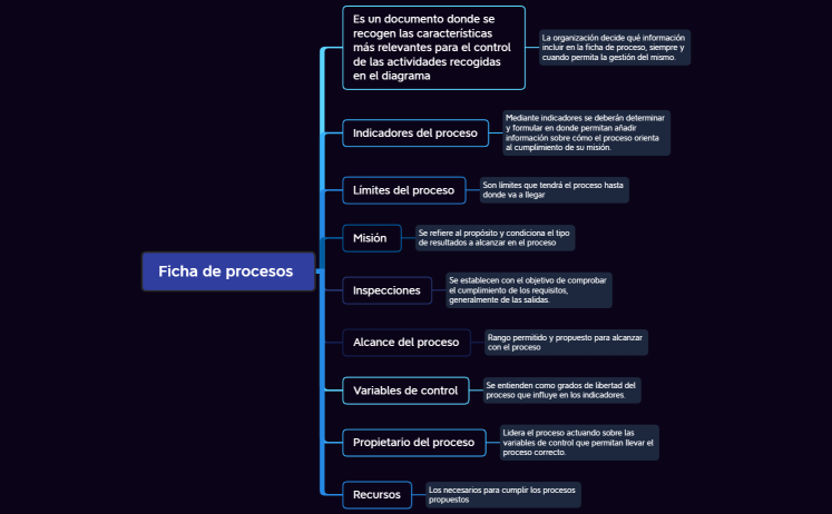 Ficha de proceso