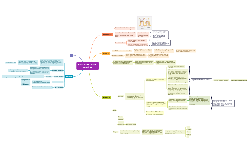 Infecciones virales entéricas.xmind