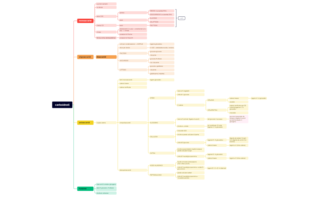 carboidrati.xmind