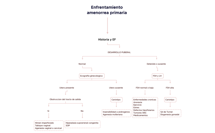Enfrentamiento amenorrea primaria 