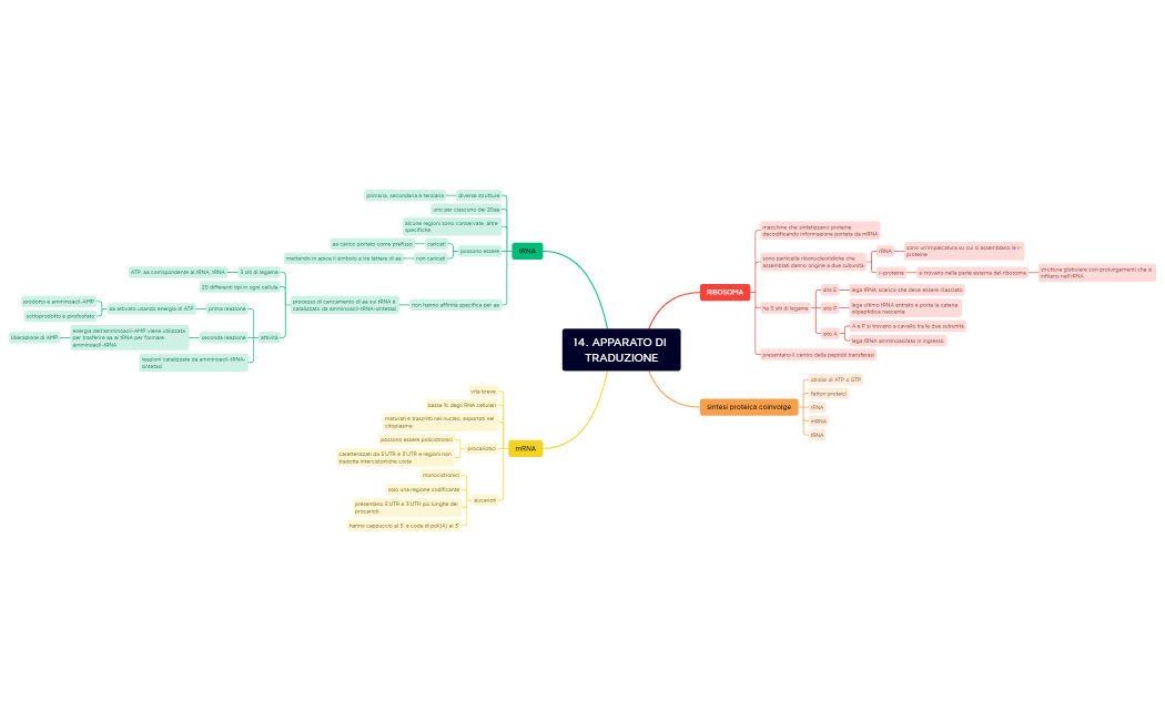 Senza titolo 2.xmind