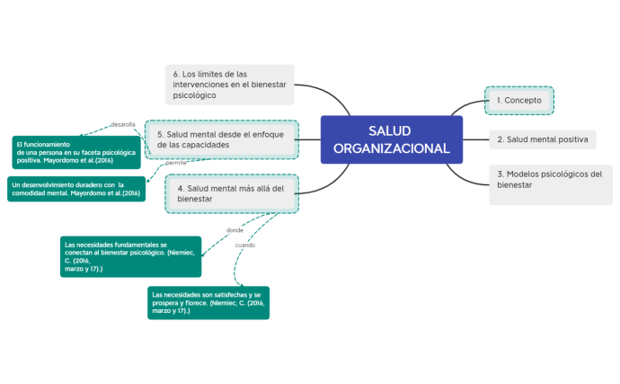 SALUD ORGANIZACIONAL G 14