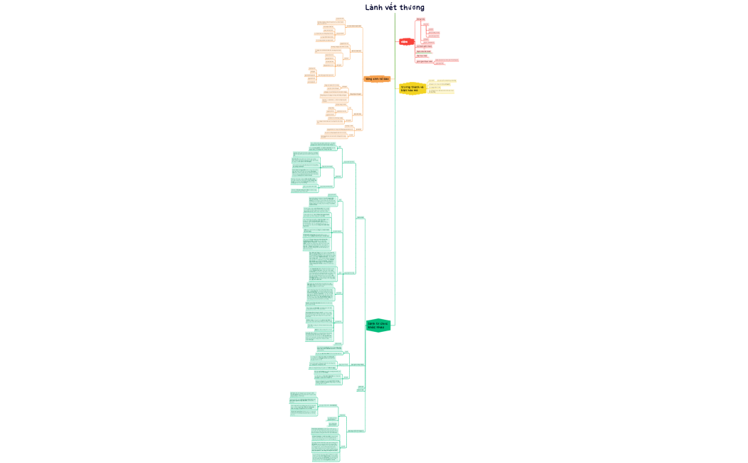 Lành vết thương2