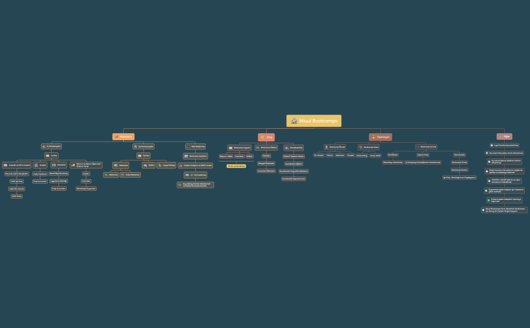 Miuul Bootcamps