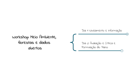 Workshop Meio Ambiente, florestas e dados abertos