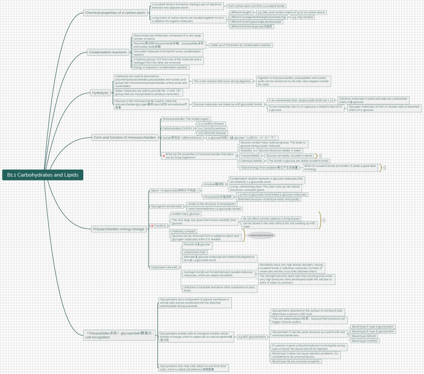 B1.1 Carbohydrates and Lipids