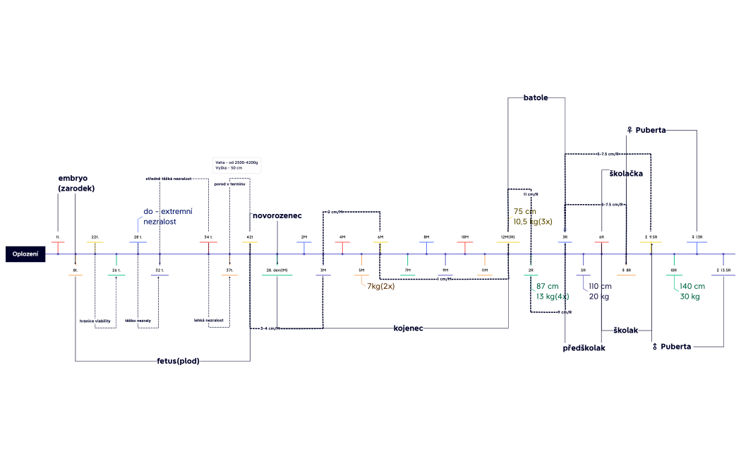Pediatrie - timeline.xmind