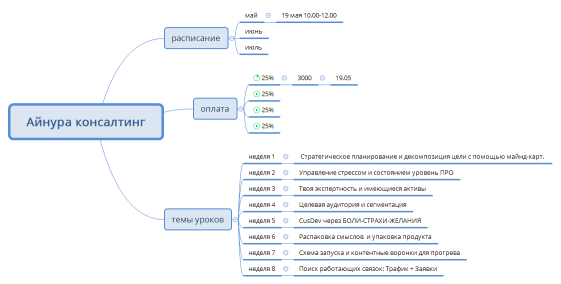 Айнура консалтинг