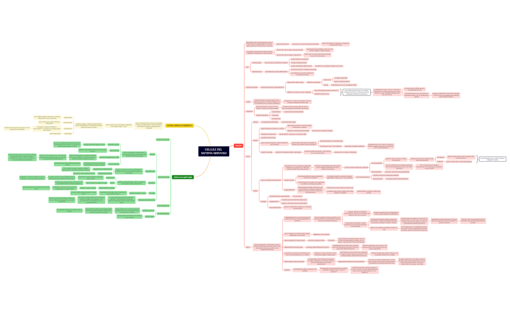 CELLULE DEL SISTEMA NERVOSO