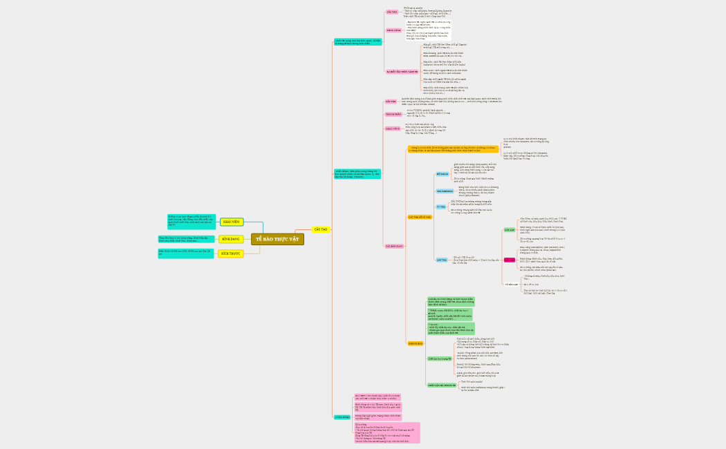 TẾ BÀO THỰC VẬT