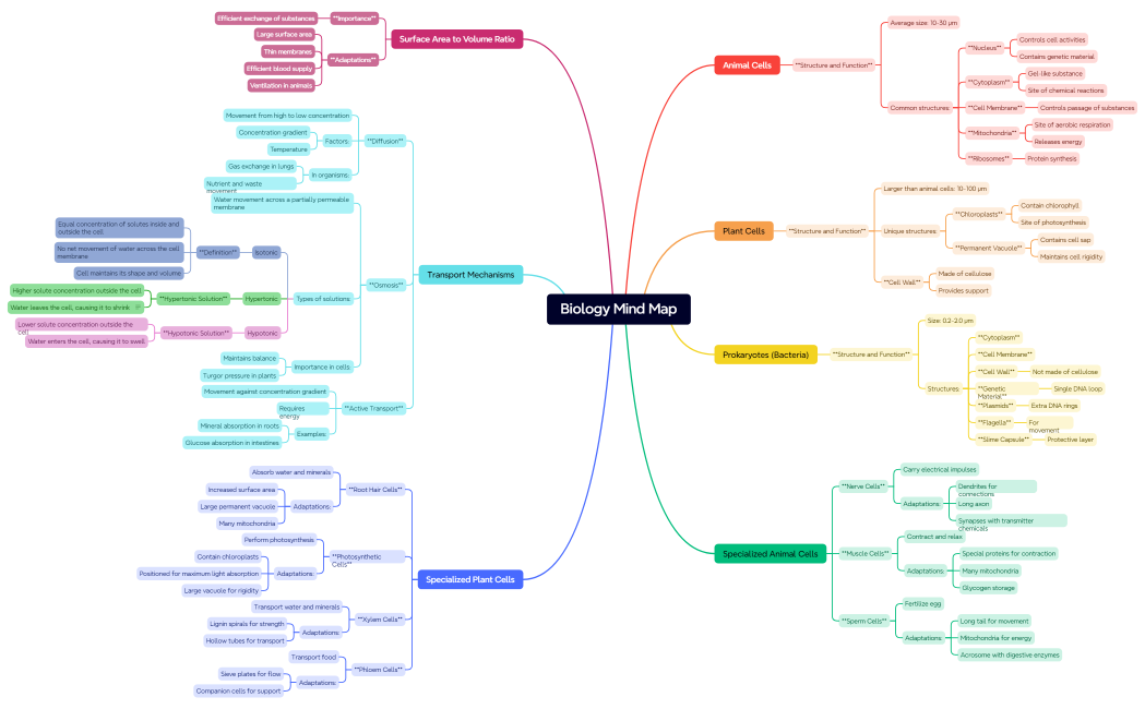 Biology Mind Map