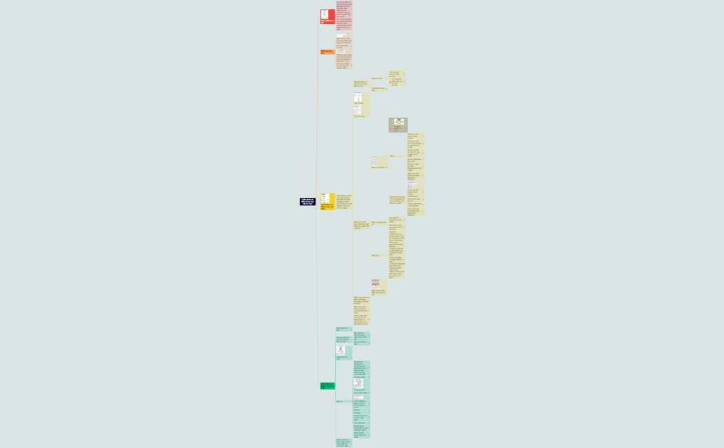Chẩn đoán và điều trị suy tim cấp và mạn 