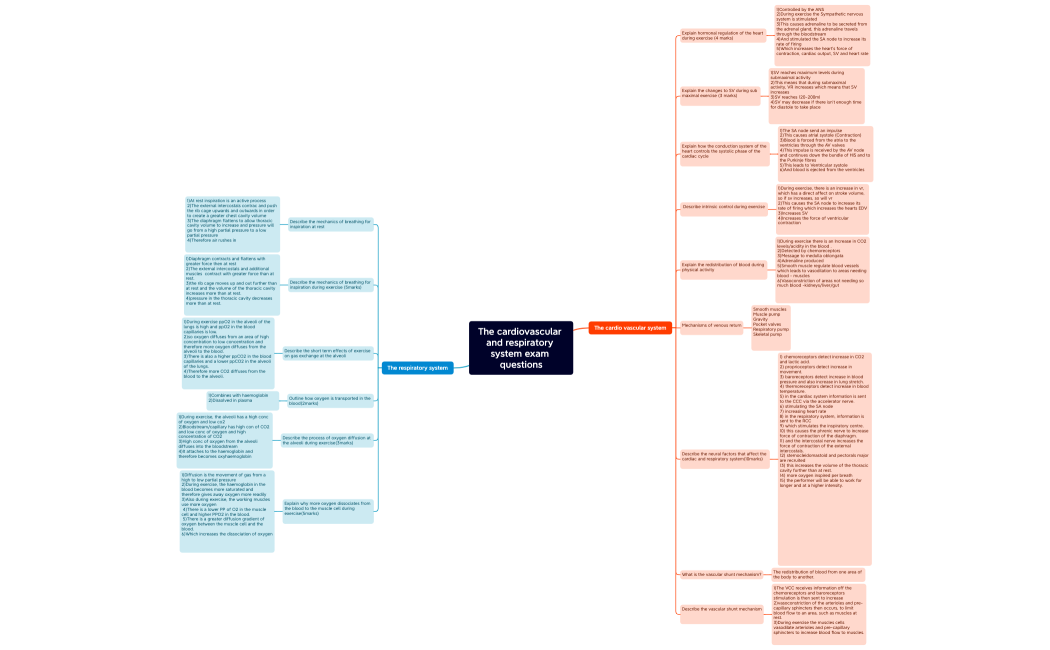 The cardiovascular and respiratory system exam questions