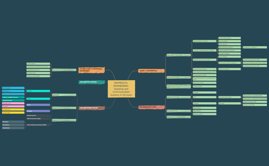 Signaling and Communication Systems.xmind