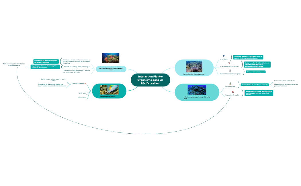 Liste de contrôle de l’emballage.xmind