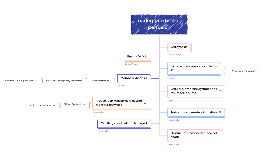 Pathophysiology of SHock
