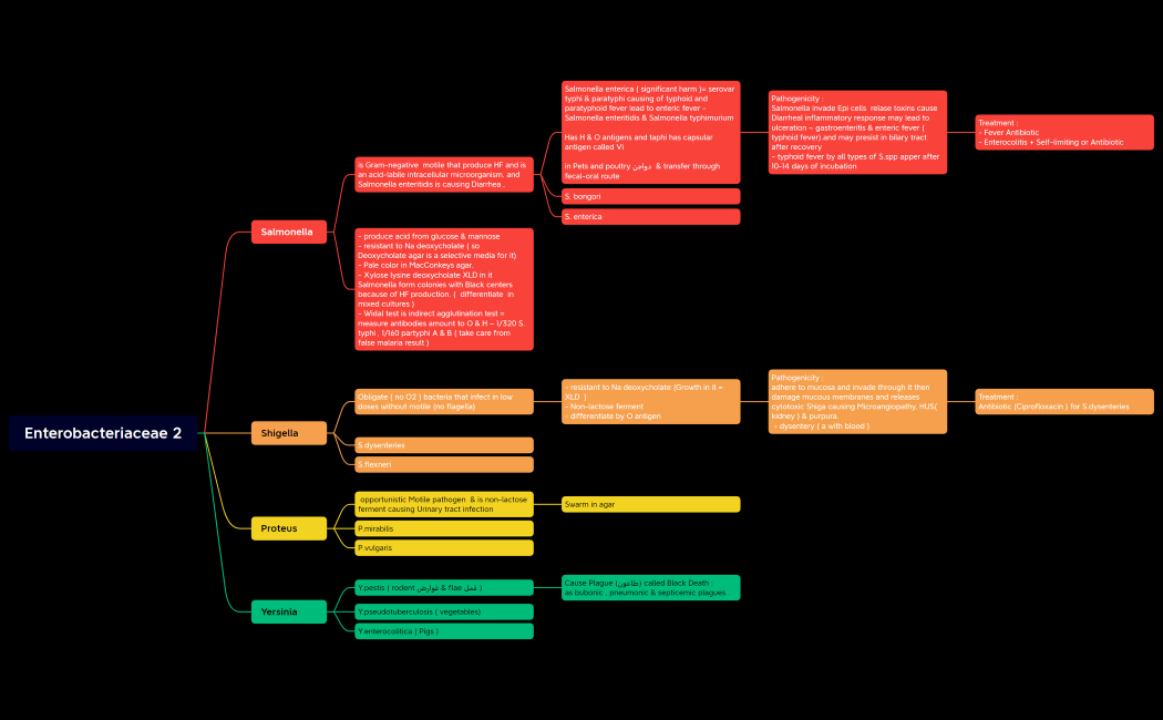Enterobacteriaceae 2