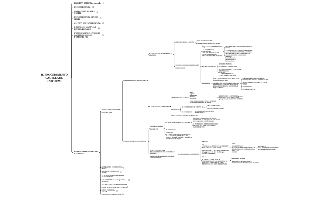 IL PROCEDIMENTO CAUTELARE  UNIFORME 