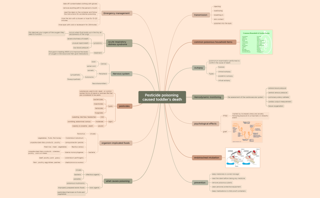Pesticide poisoning caused toddler's death