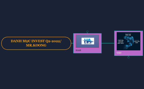 MR.KOONG VHC HAH
