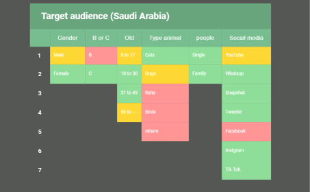 Target audience (Saudi Arabia)