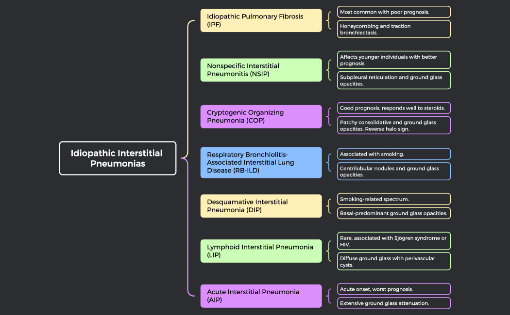 Idiopathic Interstitial Pneumonias