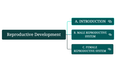1.1 - Reproductive Development