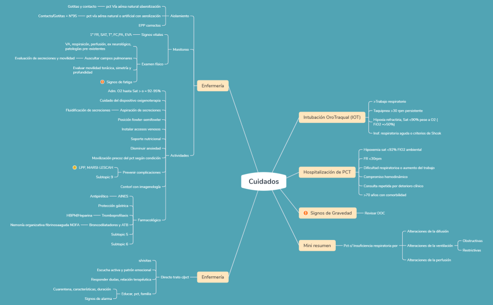 Mapa Cuidados de enfermería