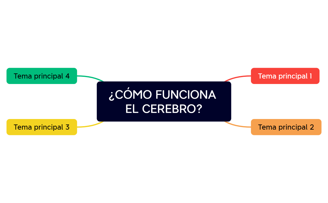 ¿CÓMO FUNCIONA EL CEREBRO?