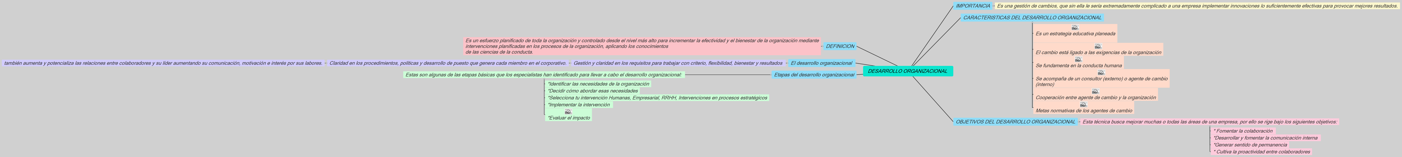 DESARROLLO ORGANIZACIONAL 