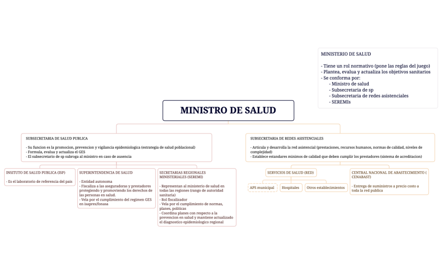MINISTERIO DE SALUD 