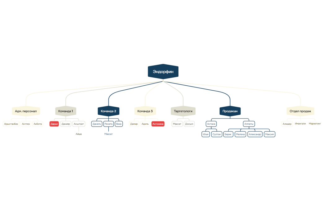Орг структура Эндорфин на 12.08.24