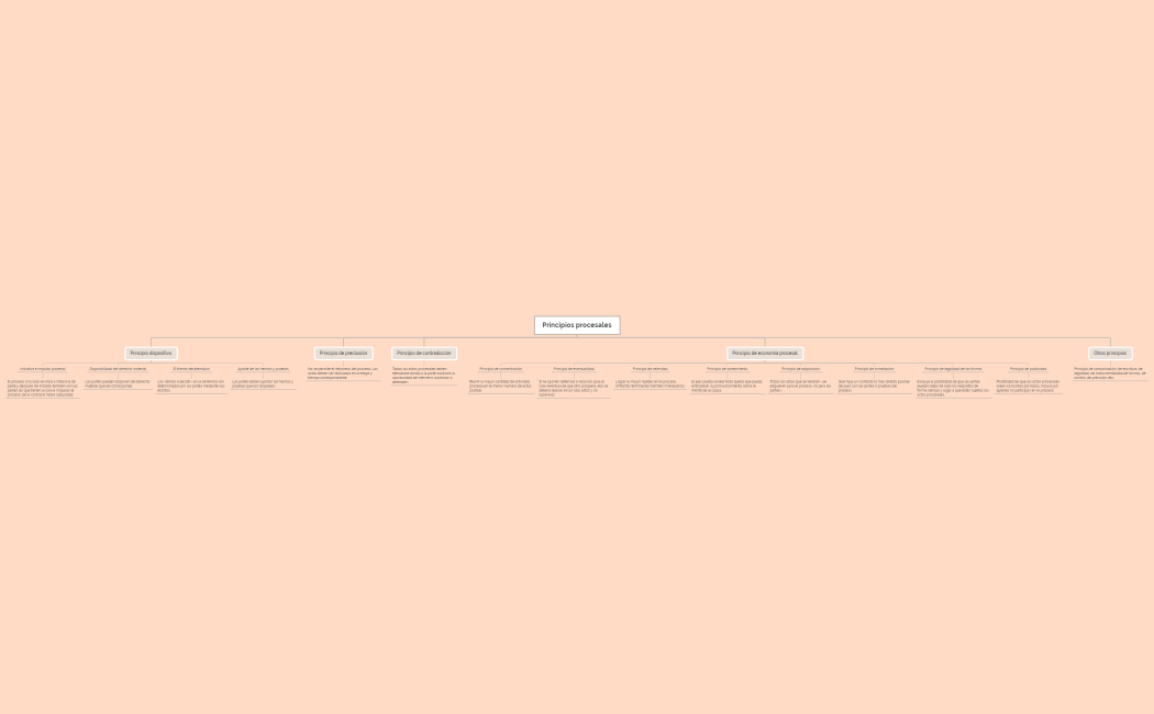 Principios procesales