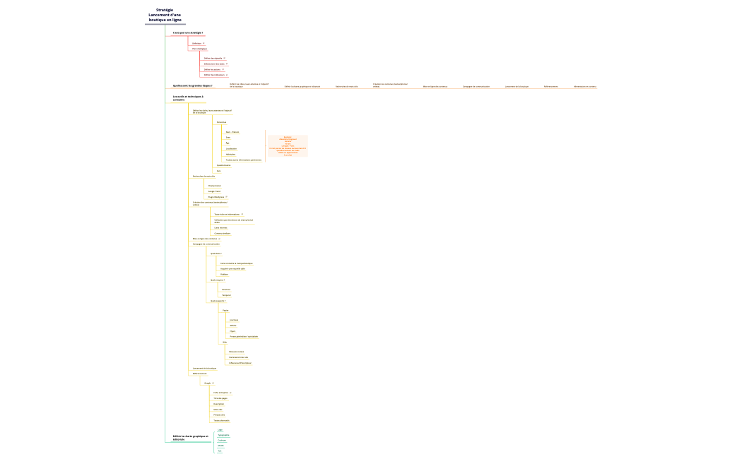 Stratégie - Lancement d'une boutique en ligne
