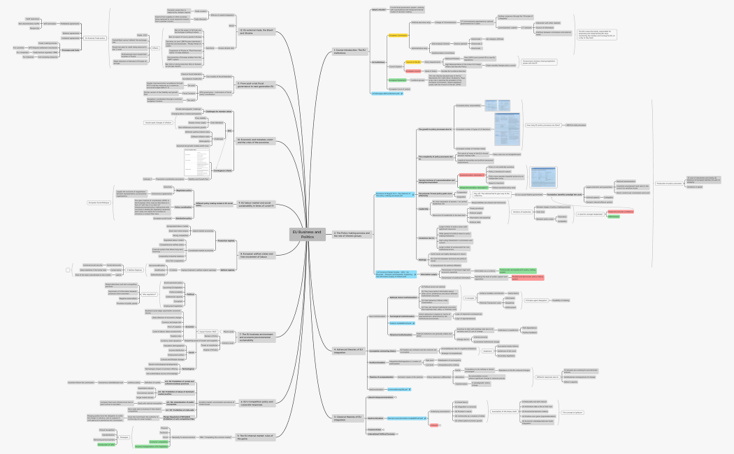EU Business and Politics