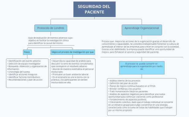 SEGURIDAD DEL PACIENTE