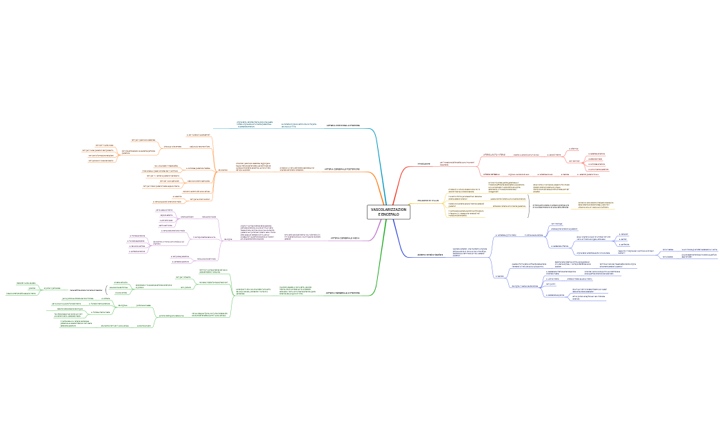 VASCOLARIZZAZIONE ENCEFALO