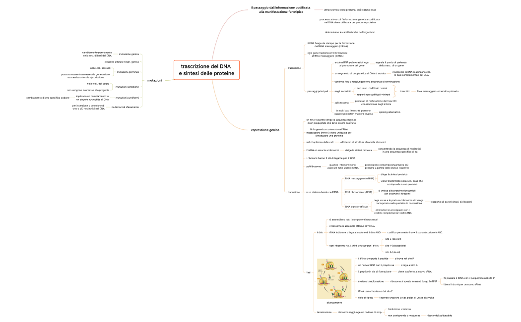 Genetica ed epigenetica