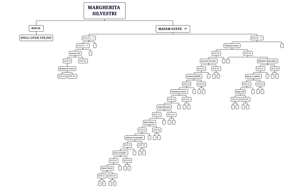 RIDISEGNAMENTO STRUTTURA