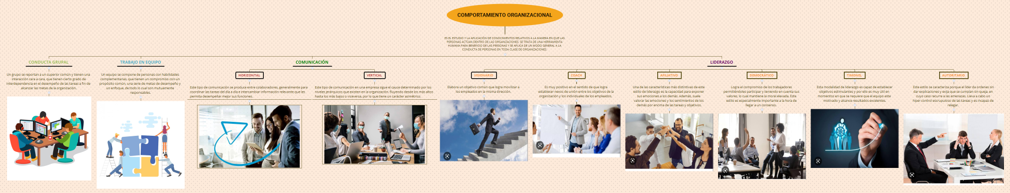 COMPORTAMIENTO ORGANIZACIONAL