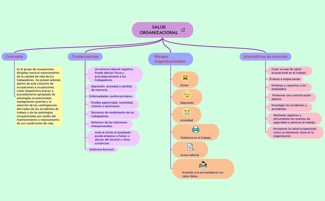 SALUD ORGANIZACIONAL 