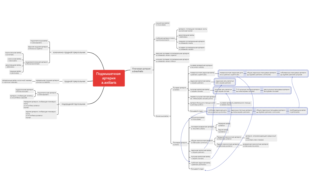 Подмышечная артерия a.axillaris