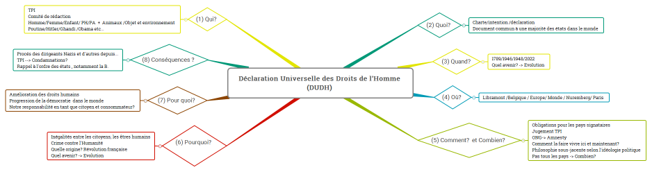 Déclaration Universelle des Droits de l'Homme (DUDH) 